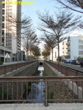 新竹縣竹北市竹北椰林覓建案,椰林建設,黃金8樓,不動產買賣更新電梯大樓 新竹縣竹北市竹北椰林覓建案,椰林建設,黃金8樓,不動產買賣更新電梯大樓